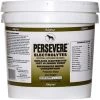 Adeptus Persevere Electrolytes Horse Supplement