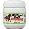 Terry Naturally Animal Health Boswellia Balm Horse Liniment