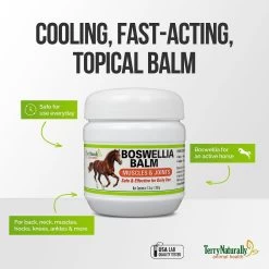 Terry Naturally Animal Health Boswellia Balm Horse Liniment -Horse Supplies Shop 205095 PT3. AC SS1800 V1593724274