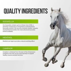 Terry Naturally Animal Health Boswellia Balm Horse Liniment -Horse Supplies Shop 205095 PT4. AC SS1800 V1593724591