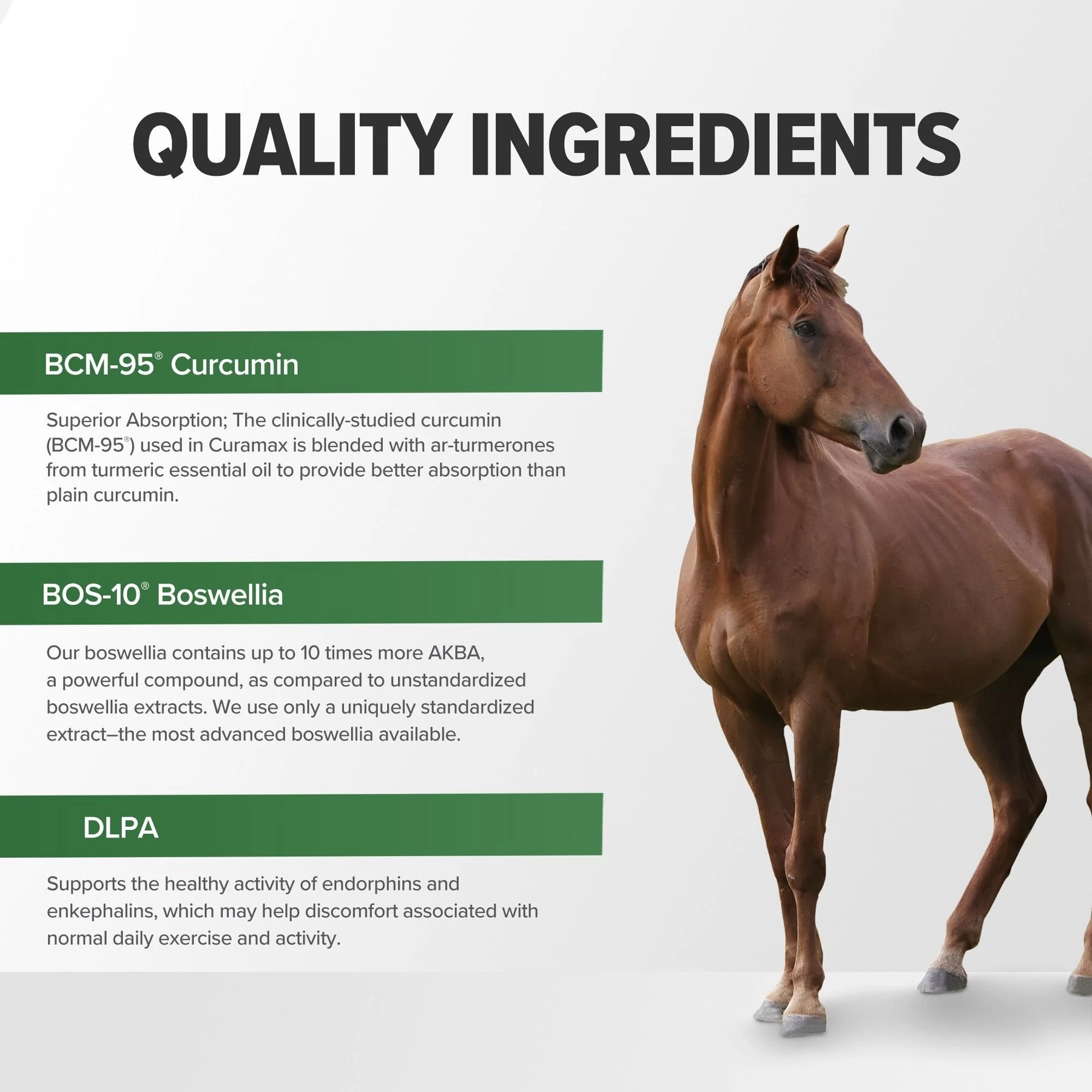 Terry Naturally Animal Health Curamax Powerful Curcumin Pellets Horse Supplement, 1-lb Canister 7 Terry Naturally Animal Health Curamax Powerful Curcumin Pellets Horse Supplement, 1-lb Canister - Image 7