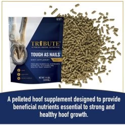 Tribute Equine Nutrition Tough As Nails Hoof Health Pellets Horse Supplement, 11-lb Bag -Horse Supplies Shop 205934 PT2. AC SS1800 V1682113150