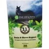 Silver Lining Herbs Brain & Nerve Support Powder Horse Supplement, 1-lb Bag