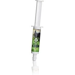 Silver Lining Herbs Kolik Eaz Colic Relief Paste Horse Supplement, 80-cc Syringe
