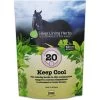Silver Lining Herbs Keep Cool Calming Powder Horse Supplement, 1-lb Bag