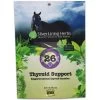 Silver Lining Herbs Thyroid Support Powder Horse Supplement, 1-lb Bag