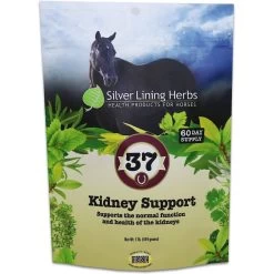 Silver Lining Herbs Kidney Support Powder Horse Supplement, 1-lb Bag