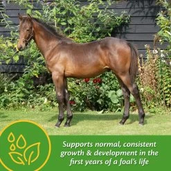 Farnam Grow Colt Growth & Development Pellets Horse Supplement 10 Farnam Grow Colt Growth & Development Pellets Horse Supplement -Horse Supplies Shop 208114 PT2. AC SS1800 V1661830518