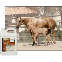 UltraCruz Flax Oil Blend Skin, Coat & Hoof Care Liquid Horse Supplement -Horse Supplies Shop 211049 PT2. AC SS1800 V1702598266