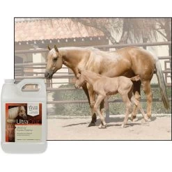 UltraCruz Potency Liquid Horse Supplement, 1-gal Bottle -Horse Supplies Shop 211083 PT2. AC SS1800 V1662479964