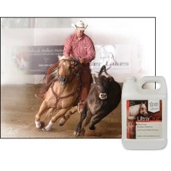 UltraCruz Potency Liquid Horse Supplement, 1-gal Bottle -Horse Supplies Shop 211083 PT3. AC SS1800 V1701362858