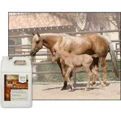 UltraCruz Pure Wheat Germ Oil Skin & Coat Care Liquid Horse Supplement 7 UltraCruz Pure Wheat Germ Oil Skin & Coat Care Liquid Horse Supplement -Horse Supplies Shop 211098 PT3. AC SS1800 V1702598329