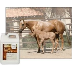 UltraCruz Wheat Germ Oil Blend Skin & Coat Care Grain Flavor Liquid Horse Supplement -Horse Supplies Shop 211147 PT2. AC SS1800 V1668637131