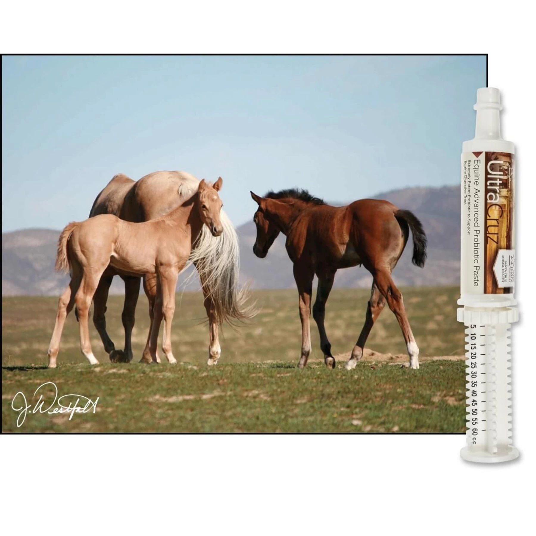 UltraCruz Foal Advanced Probiotic Paste Horse Supplement 3 UltraCruz Foal Advanced Probiotic Paste Horse Supplement - Image 3