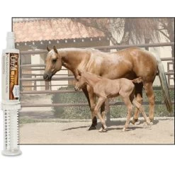 UltraCruz Foal Advanced Probiotic Paste Horse Supplement 7 UltraCruz Foal Advanced Probiotic Paste Horse Supplement -Horse Supplies Shop 211153 PT3. AC SS1800 V1702598269
