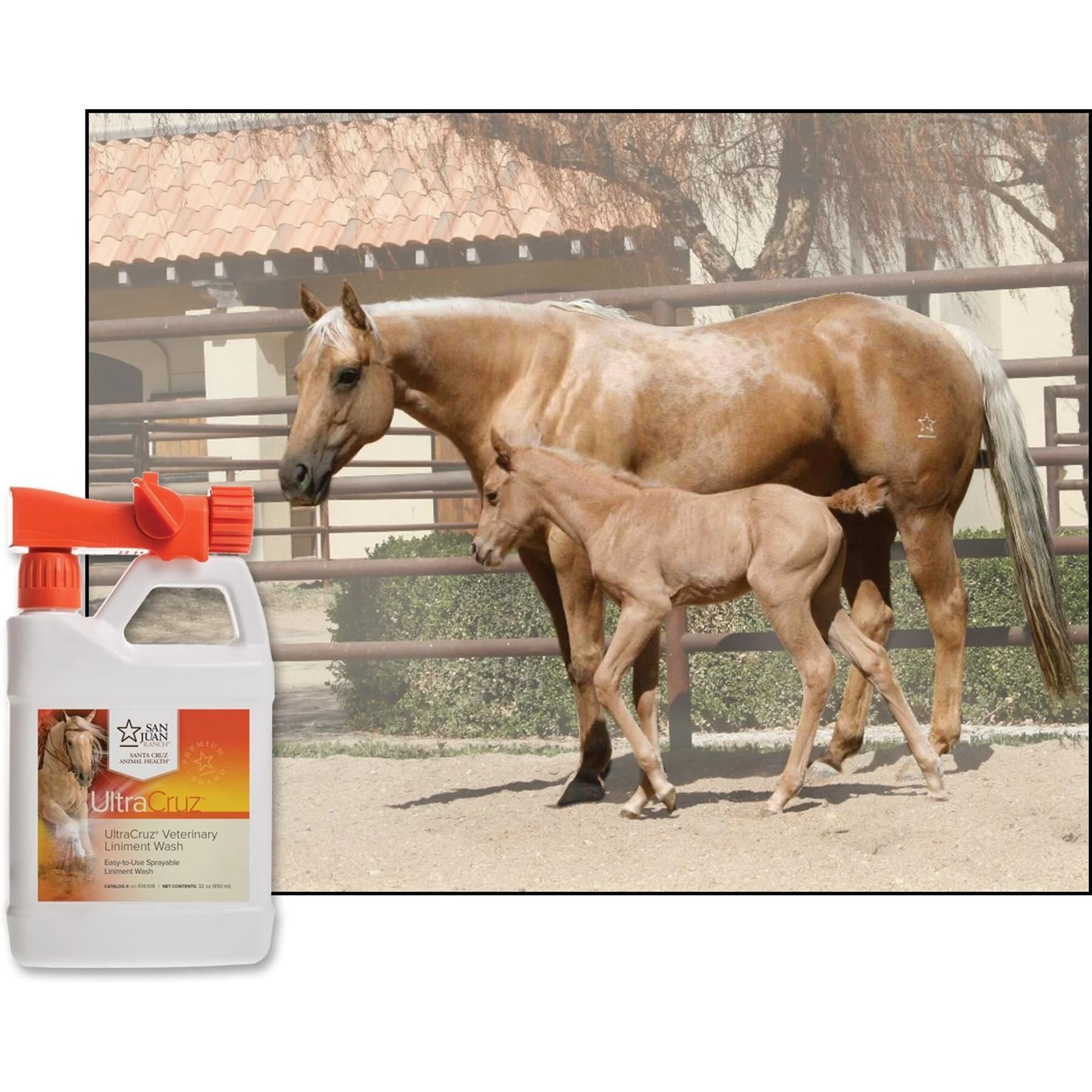 UltraCruz Liniment Horse Wash Spray, 32-oz Bottle 3 UltraCruz Liniment Horse Wash Spray, 32-oz Bottle - Image 3