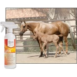 UltraCruz Fast Track Herbal Horse Liniment Spray -Horse Supplies Shop 211208 PT3. AC SS1800 V1702598320