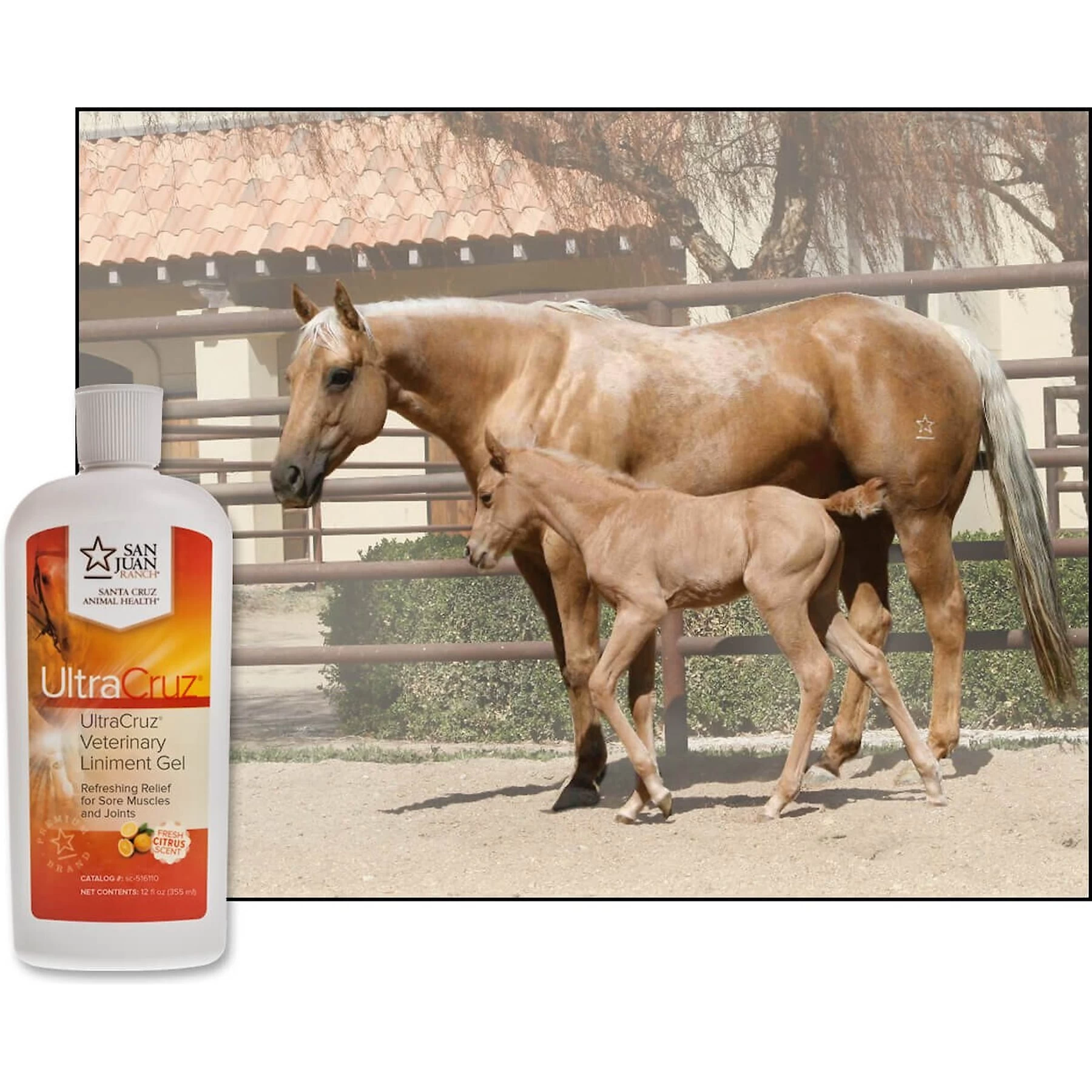 UltraCruz Veterinary Horse Liniment Gel 2 UltraCruz Veterinary Horse Liniment Gel - Image 2