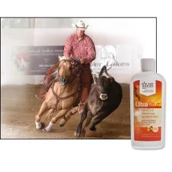 UltraCruz Veterinary Horse Liniment Gel 6 UltraCruz Veterinary Horse Liniment Gel -Horse Supplies Shop 211212 PT3. AC SS1800 V1647460334