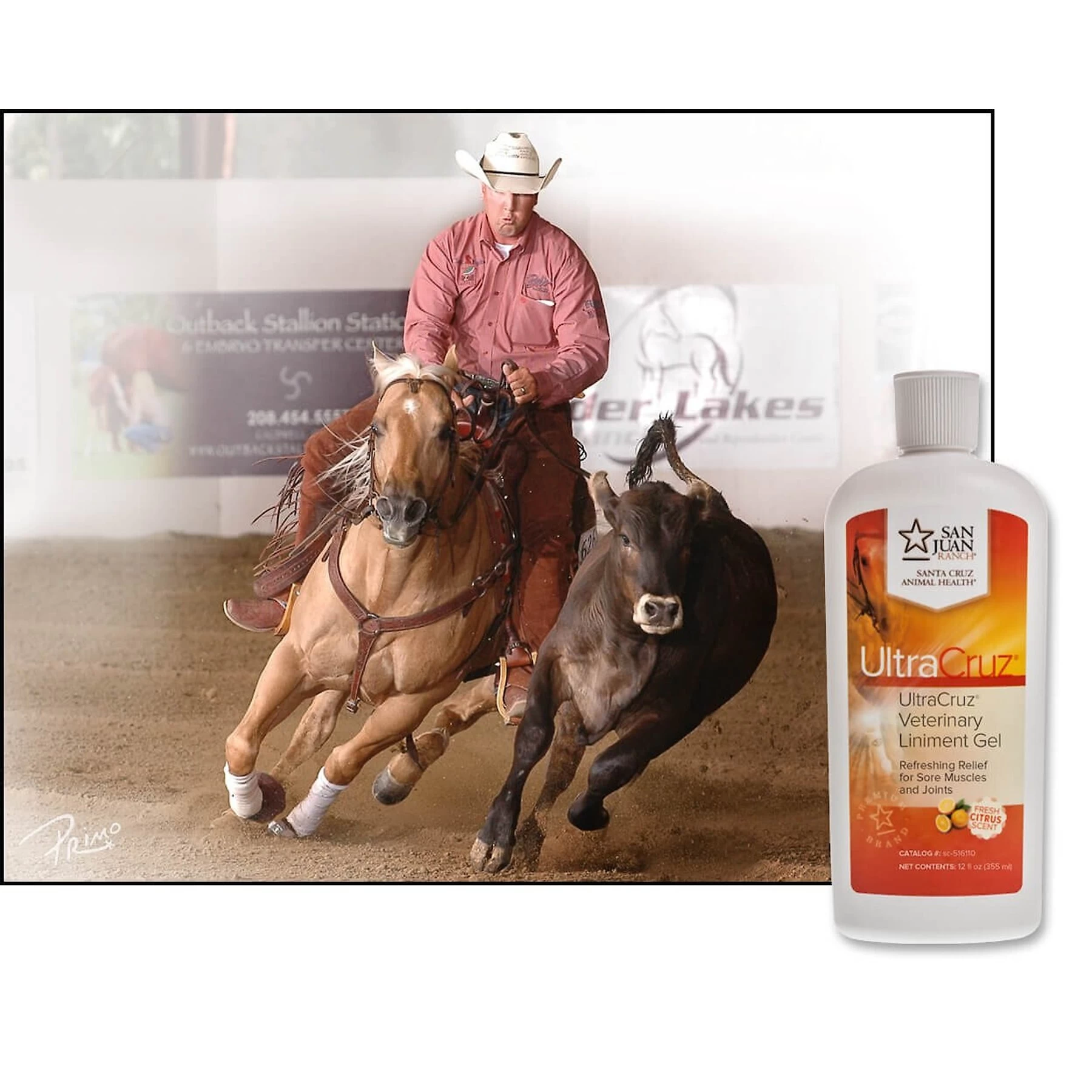 UltraCruz Veterinary Horse Liniment Gel 3 UltraCruz Veterinary Horse Liniment Gel - Image 3