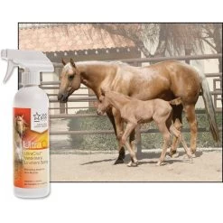 UltraCruz Veterinary Horse Liniment Spray -Horse Supplies Shop 211215 PT2. AC SS1800 V1666299371