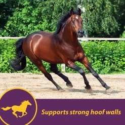 Horse Health Products Vita Biotin Molasses Flavor Crumbles Horse Supplement -Horse Supplies Shop 222512 PT4. AC SS1800 V1582749806