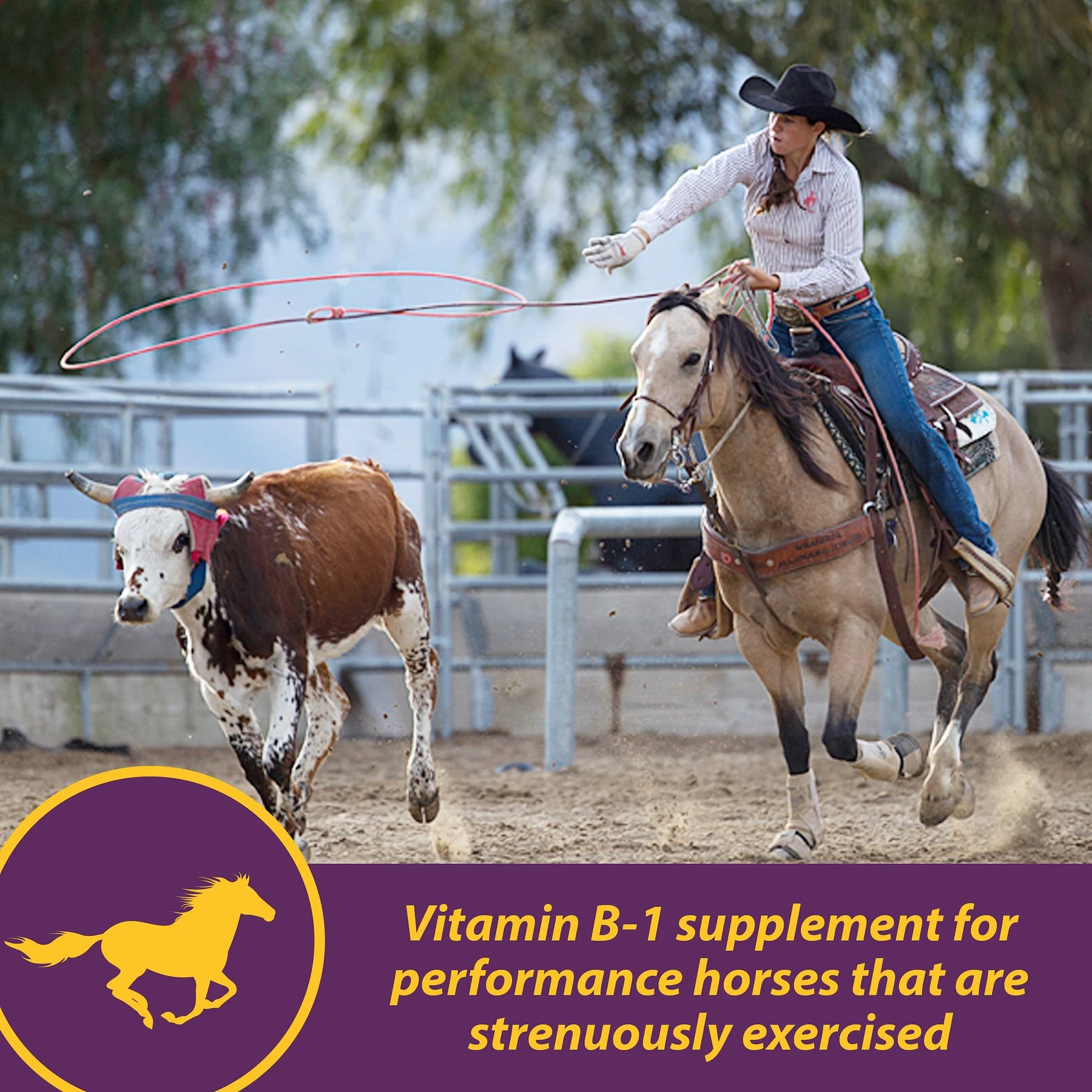 Horse Health Products Vita B-1 Crumbles For Optimal Muscle & Metabolism Support Horse Supplement 2 Horse Health Products Vita B-1 Crumbles For Optimal Muscle & Metabolism Support Horse Supplement - Image 2