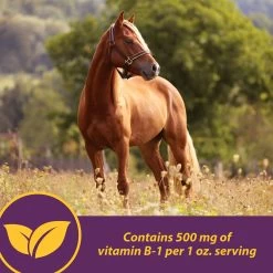 Horse Health Products Vita B-1 Crumbles For Optimal Muscle & Metabolism Support Horse Supplement 11 Horse Health Products Vita B-1 Crumbles For Optimal Muscle & Metabolism Support Horse Supplement -Horse Supplies Shop 227054 pt4. AC SS1800 V1584471064