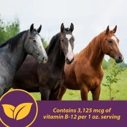 Horse Health Products Vita B-12 Crumbles Horse Vitamin Supplement, 3-lb Bucket 11 Horse Health Products Vita B-12 Crumbles Horse Vitamin Supplement, 3-lb Bucket -Horse Supplies Shop 227057 pt4. AC SS1800 V1584473013