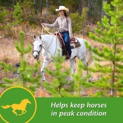 Farnam Vita-Min E & Selenium Antioxidant Soft Chew Horse Supplement, 3-lb Bucket -Horse Supplies Shop 227064 pt3. AC SS1800 V1584473174