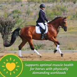 Farnam Vita-Min E & Selenium Antioxidant Soft Chew Horse Supplement, 3-lb Bucket -Horse Supplies Shop 227064 pt4. AC SS1800 V1584473179