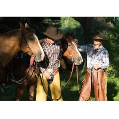 Weaver Leather Working Tack Economy Horse Browband Headstall 8 Weaver Leather Working Tack Economy Horse Browband Headstall -Horse Supplies Shop 231383 PT2. AC SS1800 V1681937680