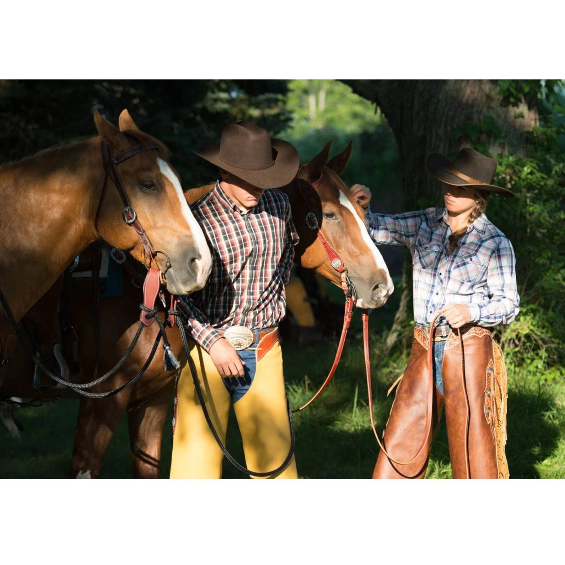 Weaver Leather Working Tack Economy Horse Browband Headstall 3 Weaver Leather Working Tack Economy Horse Browband Headstall - Image 3