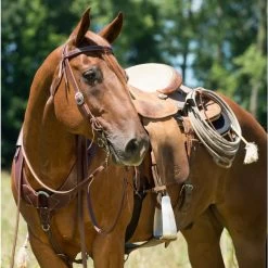 Weaver Leather Working Tack Economy Horse Browband Headstall 11 Weaver Leather Working Tack Economy Horse Browband Headstall -Horse Supplies Shop 231383 PT5. AC SS1800 V1681924681