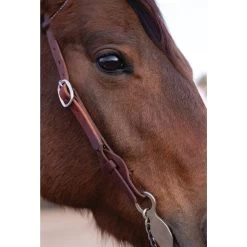 Weaver Leather Working Tack Quick Change Horse Browband Headstall -Horse Supplies Shop 231385 PT2. AC SS1800 V1682111752