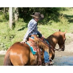 Weaver Leather Basin Cowboy Spur Straps -Horse Supplies Shop 231410 PT3. AC SS1800 V1681933666