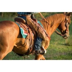Weaver Leather Basin Cowboy Spur Straps -Horse Supplies Shop 231410 PT5. AC SS1800 V1681925031