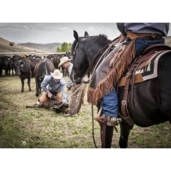Weaver Leather Basin Cowboy Spur Straps -Horse Supplies Shop 231410 PT8. AC SS1800 V1682101398