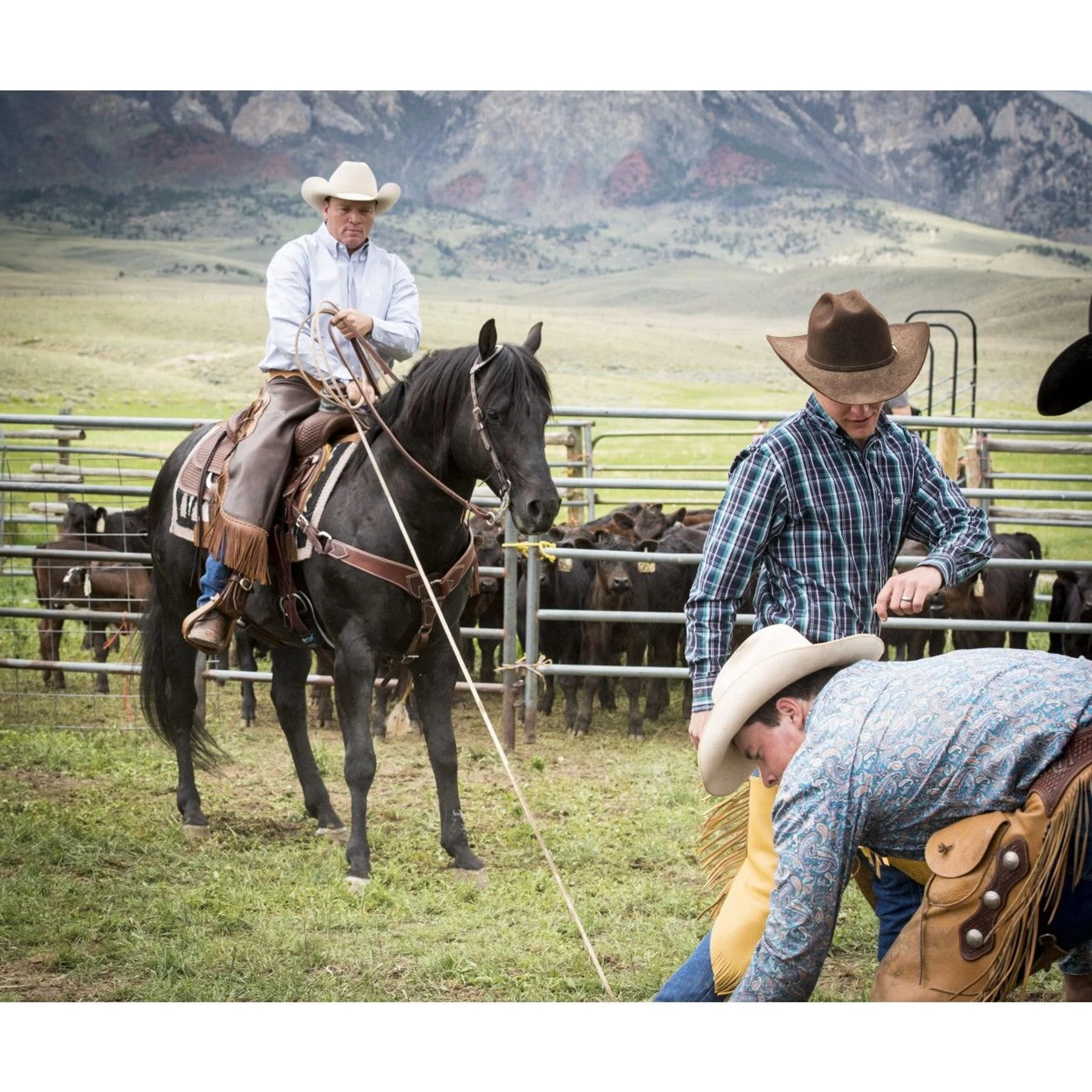 Weaver Leather AirFlex Roper Cinch & Roll Snug Horse Cinch Buckle 3 Weaver Leather AirFlex Roper Cinch & Roll Snug Horse Cinch Buckle - Image 3