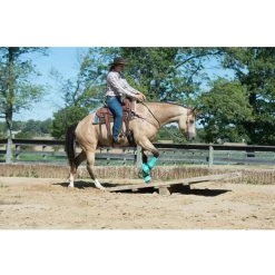 Weaver Leather AirFlex Roper Cinch & Roll Snug Horse Cinch Buckle 13 Weaver Leather AirFlex Roper Cinch & Roll Snug Horse Cinch Buckle -Horse Supplies Shop 231481 PT4. AC SS1800 V1681930921