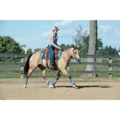 Weaver Leather AirFlex Roper Cinch & Roll Snug Horse Cinch Buckle 14 Weaver Leather AirFlex Roper Cinch & Roll Snug Horse Cinch Buckle -Horse Supplies Shop 231481 PT5. AC SS1800 V1681936493