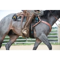 Weaver Leather AirFlex Roper Cinch & Roll Snug Horse Cinch Buckle 17 Weaver Leather AirFlex Roper Cinch & Roll Snug Horse Cinch Buckle -Horse Supplies Shop 231481 PT8. AC SS1800 V1681935028