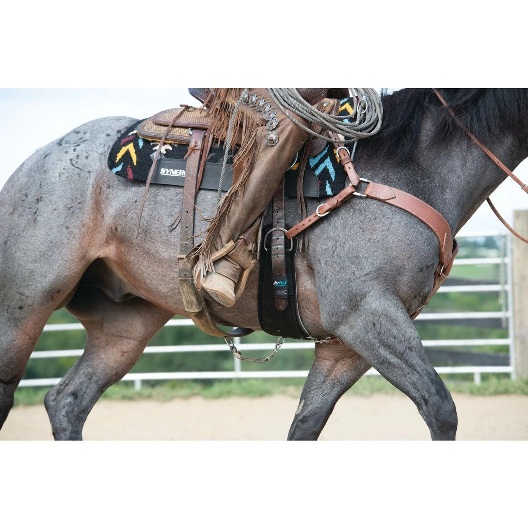 Weaver Leather AirFlex Roper Cinch & Roll Snug Horse Cinch Buckle 9 Weaver Leather AirFlex Roper Cinch & Roll Snug Horse Cinch Buckle - Image 9