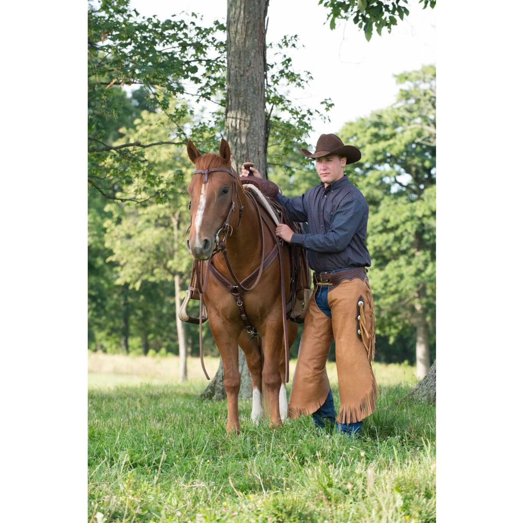 Weaver Leather Working Tack Contoured Horse Breast Collar 4 Weaver Leather Working Tack Contoured Horse Breast Collar - Image 4