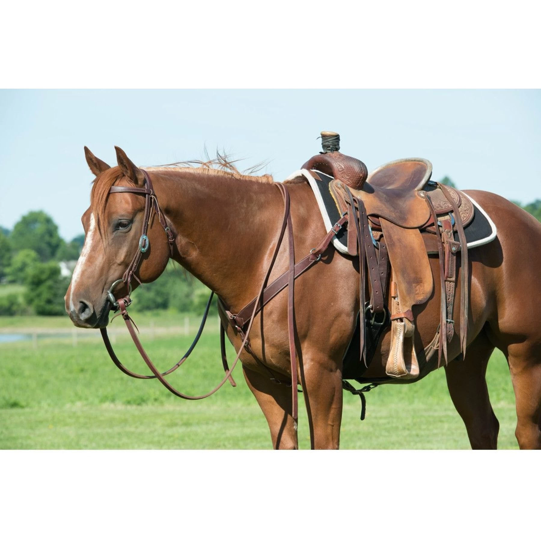 Weaver Leather Working Tack Contoured Horse Breast Collar 5 Weaver Leather Working Tack Contoured Horse Breast Collar - Image 5