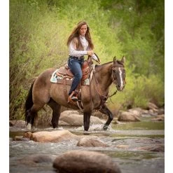 Weaver Leather Working Tack Extra Heavy Harness Leather Quick Change Horse Reins 5 Weaver Leather Working Tack Extra Heavy Harness Leather Quick Change Horse Reins -Horse Supplies Shop 231547 PT2. AC SS1800 V1682102579