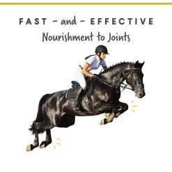 Corta-Flx Powder Joint & Connective Tissue Support Horse Supplement, 8-lb Bucket -Horse Supplies Shop 233892 PT4. AC SS1800 V1632959783