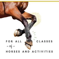 Corta-Flx Powder Joint & Connective Tissue Support Horse Supplement, 8-lb Bucket -Horse Supplies Shop 233892 PT5. AC SS1800 V1632953780