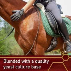 Vita Flex Pro E & Selenium Vitamin E Powder Horse Supplement, 4-lb Bucket -Horse Supplies Shop 236252 PT4. AC SS1800 V1644981392