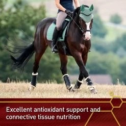 Vita Flex Pro Pure C Premium Vitamin C Powder Horse Supplement, 2-lb Jar -Horse Supplies Shop 236260 PT3. AC SS1800 V1659968910